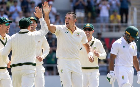 Illustration of Australian Test cricketers celebrating a wicket as a South African batter walks off