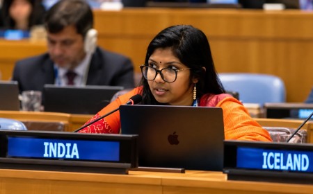 Illustration of a delegate speaking at the India desk in a United Nations committee room